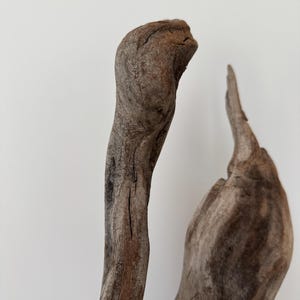 May include: Two pieces of weathered driftwood with a natural brown, textured surface. The taller piece is elongated and curved, while the shorter piece features a pointed top and a wider, bulbous base, both showing organic cracks and grain.