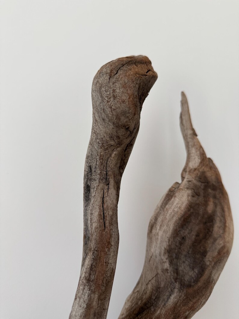 May include: Two pieces of weathered driftwood with a natural brown, textured surface. The taller piece is elongated and curved, while the shorter piece features a pointed top and a wider, bulbous base, both showing organic cracks and grain.