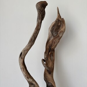 May include: Two pieces of weathered driftwood with organic, twisted shapes and textured brown surfaces. The wood features natural knots, smooth curves, and pointed ends, showcasing a raw, aged appearance with varying shades of light and dark brown.