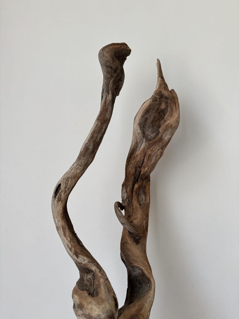 May include: Two pieces of weathered driftwood with organic, twisted shapes and textured brown surfaces. The wood features natural knots, smooth curves, and pointed ends, showcasing a raw, aged appearance with varying shades of light and dark brown.