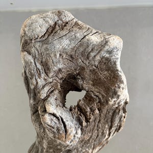 May include: A piece of weathered driftwood with a rough, grey-brown texture and a prominent natural hole in the center. The wood surface displays deep, intricate grain patterns, ridges, and organic contours shaped by exposure to the elements.