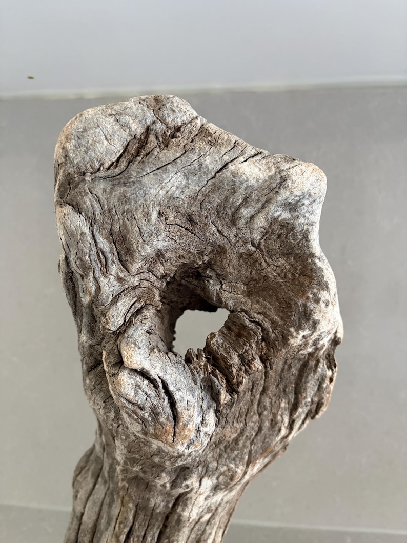 May include: A piece of weathered driftwood with a rough, grey-brown texture and a prominent natural hole in the center. The wood surface displays deep, intricate grain patterns, ridges, and organic contours shaped by exposure to the elements.