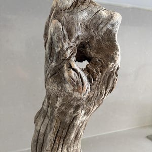 May include: A piece of weathered driftwood with a light brown and grey color palette. The wood features a rough, textured surface with deep grooves and a prominent natural hole near the top, showcasing organic shapes and intricate grain patterns.