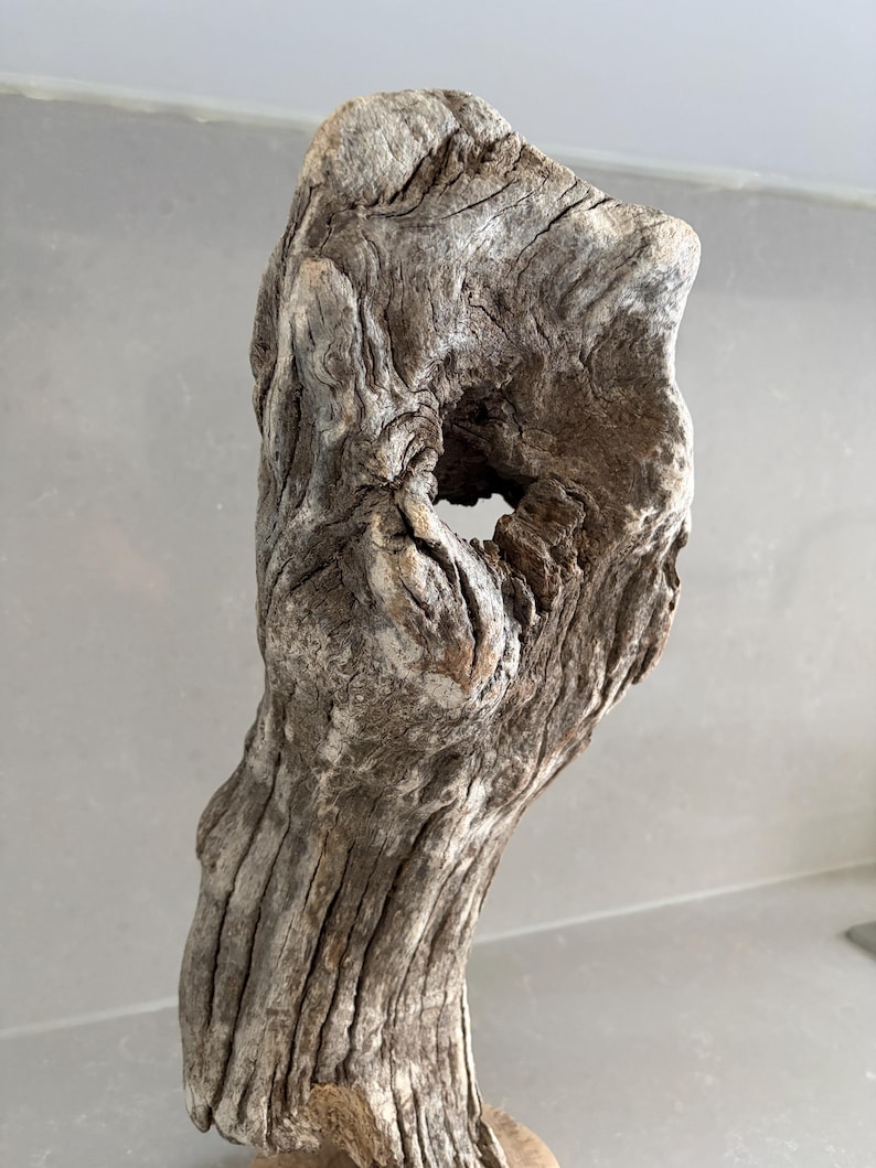 May include: A piece of weathered driftwood with a light brown and grey color palette. The wood features a rough, textured surface with deep grooves and a prominent natural hole near the top, showcasing organic shapes and intricate grain patterns.