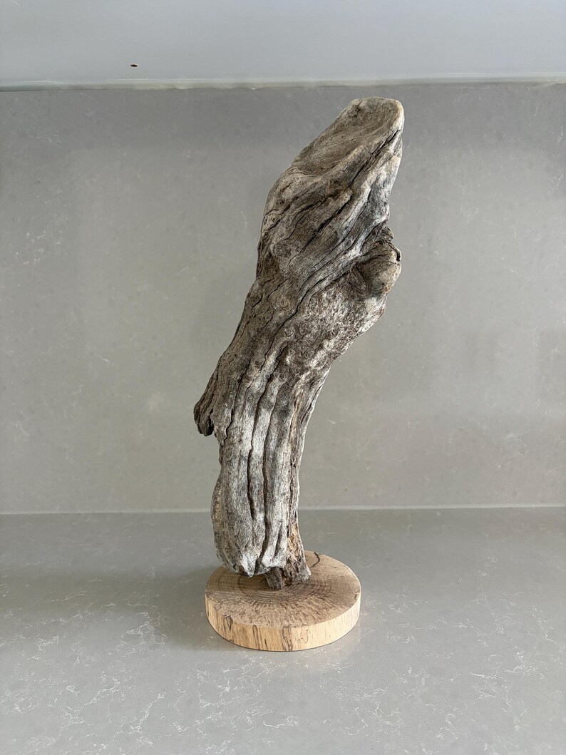 May include: A piece of weathered, grey driftwood with a textured, gnarled surface standing upright. The driftwood is securely mounted onto a circular, light-colored wooden base that features visible grain patterns and a smooth, flat top surface.