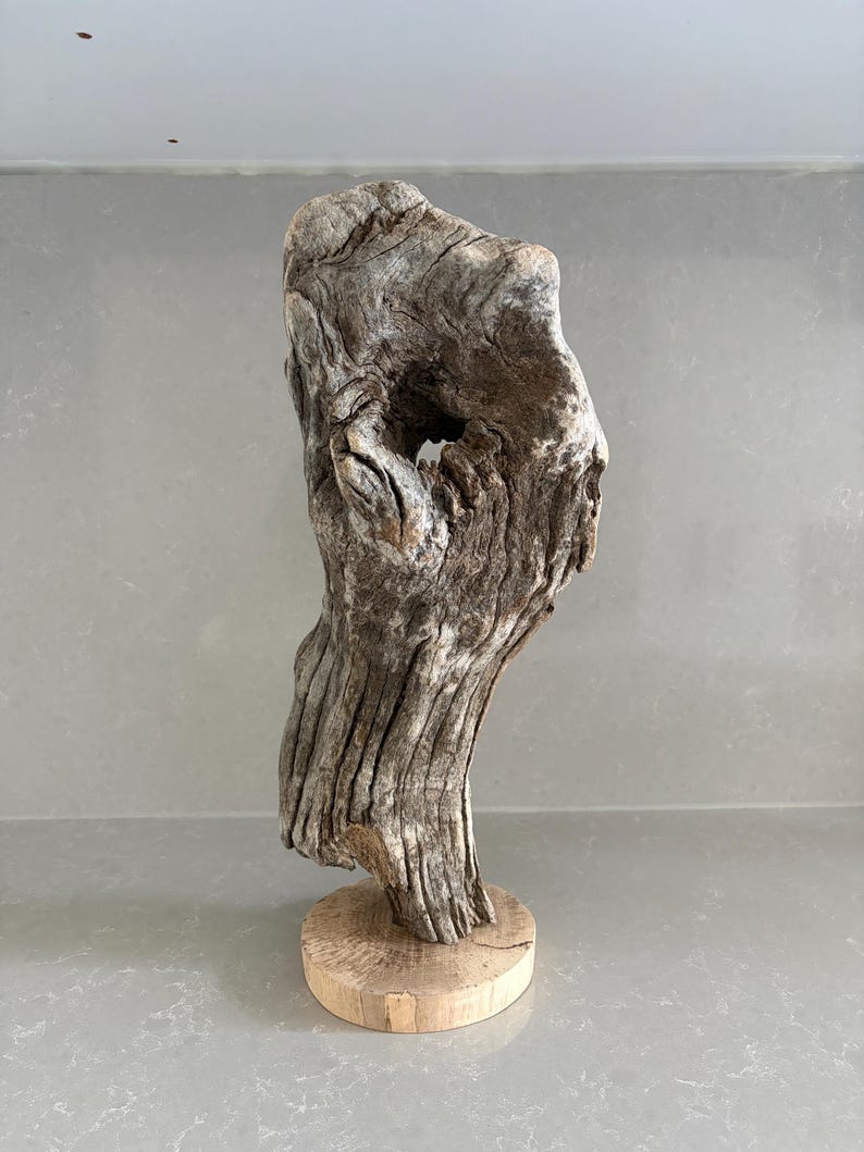 May include: A piece of weathered, grey driftwood with a natural hollow opening, mounted vertically on a circular, light-colored wooden base. The wood surface displays deep, textured grain patterns and a rugged, organic shape with varied brown tones.