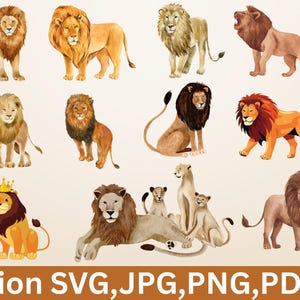 Lion Clipart, Watercolor Lion, Printable Watercolor clipart,  High Quality PNGs, Digital download, High resolution, Paper crafts
