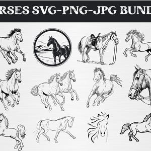 Horse SVG, Horse Silhouette,Horse Vector,Horse Clipart,Horse Lover Svg Bundle,Silhouette Animal,svg files bundle,Digital Download