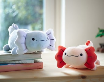 Può includere: Due peluche axolotl, uno azzurro chiaro e uno bianco con branchie rosse. L'axolotl azzurro è sdraiato su una pila di libri. L'axolotl bianco è sdraiato su una superficie di legno.