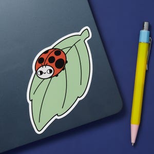Ladybird Sticker – Cute Ladybug Vinyl Sticker, Nature Bug Sticker for Water Bottles, Laptops & Journals, Kawaii Insect Gift, Red Bug Decal