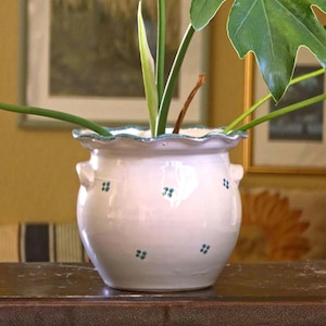 Könnte beinhalten: Ein weißer Keramik-Pflanztopf mit einem gewellten Rand und kleinen blauen Blumenakzenten. Der Topf hat zwei kleine Griffe und enthält grüne Pflanzen mit großen Blättern. Der Topf steht auf einer dunklen Holzoberfläche.