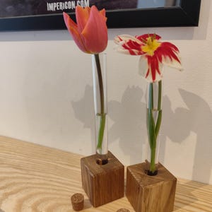 Könnte beinhalten: Zwei frisch geschnittene Blumen in Glasröhren, die in Holzblocksockeln stehen. Eine Tulpe ist orange und rosa, die andere rot und weiß. Zwei kleine Korken befinden sich vor den Vasen. Der Hintergrund enthält ein gerahmtes Poster.
