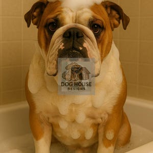 Bulldog