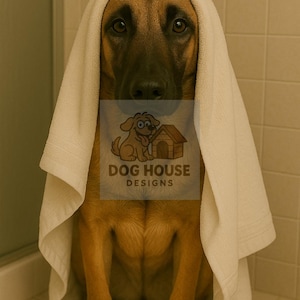 Belgian Malinois