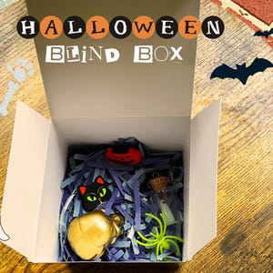 Halloween Blind Box - spooky surprise box, spooky season, mystery box for kids.