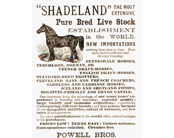 Vintage Advertising Poster Shadeland Draft Horses Century Illustrated 1887