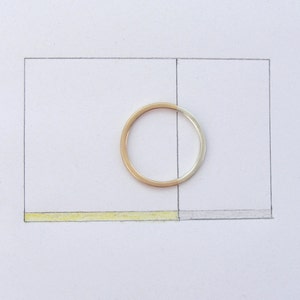 Golden Ratio Ring Gift or Thin Wedding Band for Math Lovers, Geeks or Artists, 9kt Gold and Sterling Silver image 4