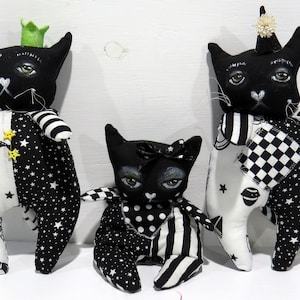Cool katt!