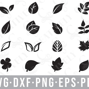 Paquete de hojas SVG PNG DXF Eps Pdf archivos, archivos de corte de hojas para silueta cricut, regalo para amantes de las plantas