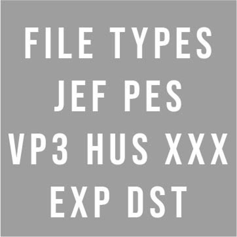 Op de afbeelding: Een lijst met bestandstypen, waaronder JEF, PES, VP3, HUS, XXX, EXP en DST. Deze bestandstypen worden vaak gebruikt voor borduurpatronen.