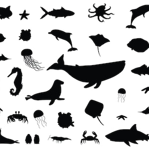 Dolfijn zee dier bundel SVG PNG DXF Eps PDF-bestanden, dolfijn bundel gesneden bestanden voor Cricut silhouet, Dolphon zee dier clipart