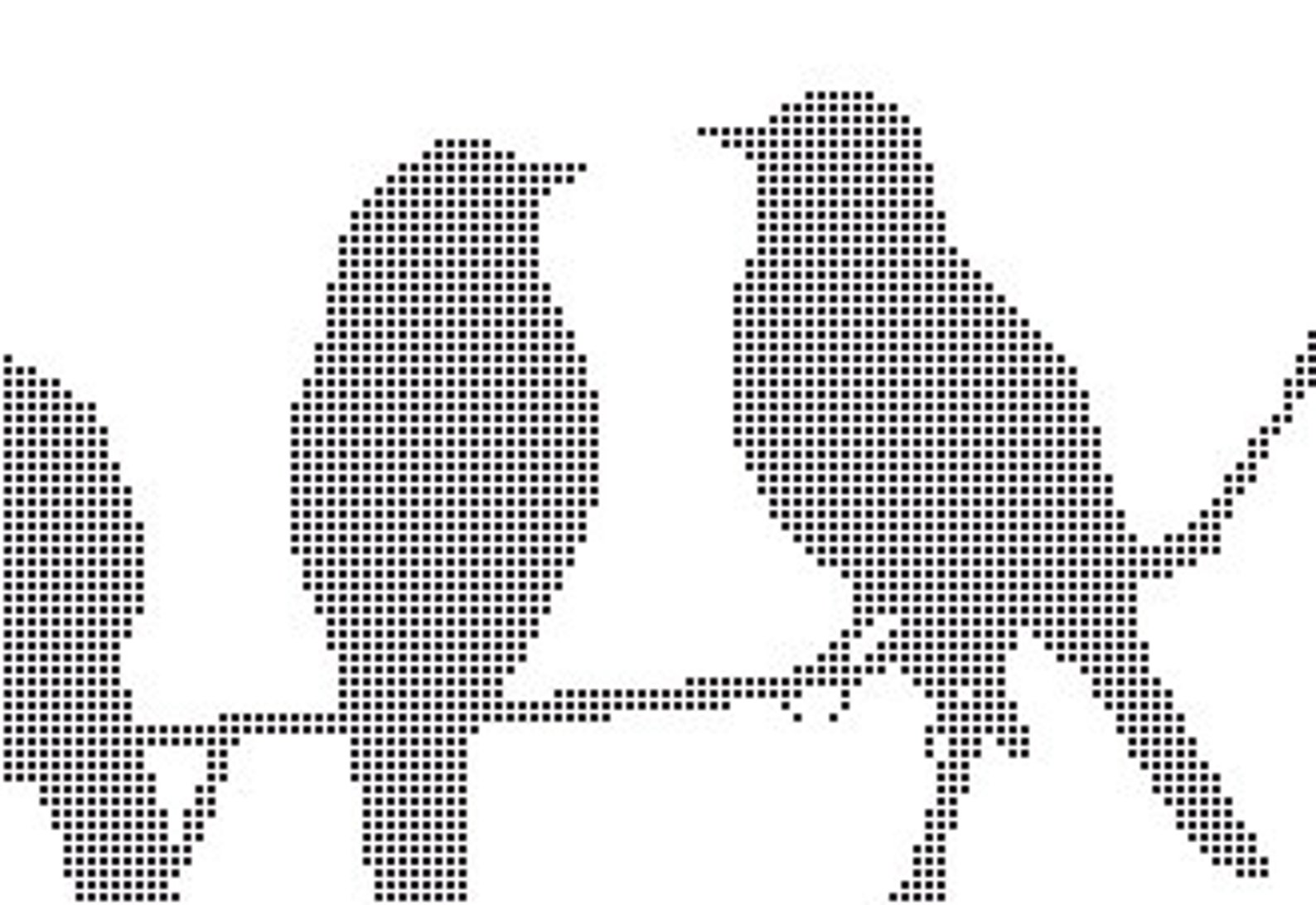 Birds Cross Stitch Birds Silhouettes Birds Pattern | Etsy