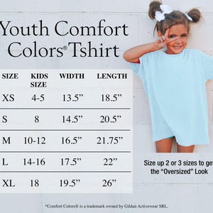 Camiseta Comfort Colors "Lo sabía, te conocía", camiseta TS 2026 para fans, camiseta inspirada en la canción de Toy Story. imagen 8