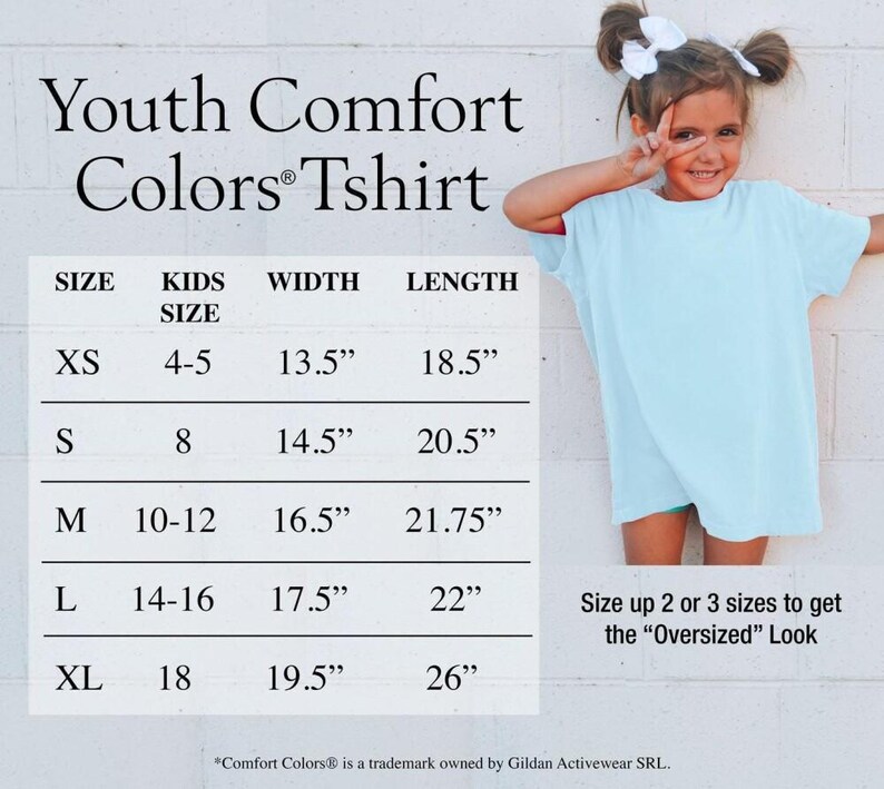 Comfort Colors I Knew It I Knew You Shirt, TS 2026 Tshirt for Fan, Toy Story Song Lyrics Inspired Tshirt image 8