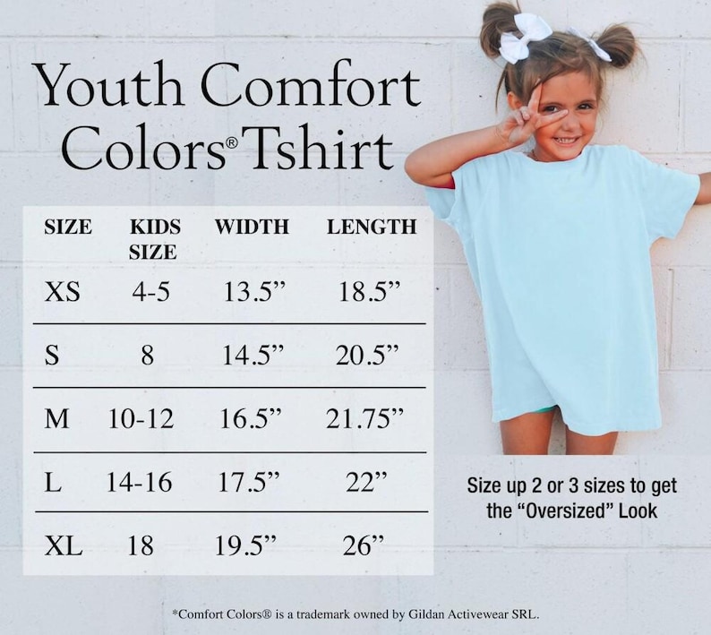 Comfort Colors I Knew It I Knew You Shirt, TS 2026 Tshirt for Fan, Toy Story Song Inspired Tshirt image 8