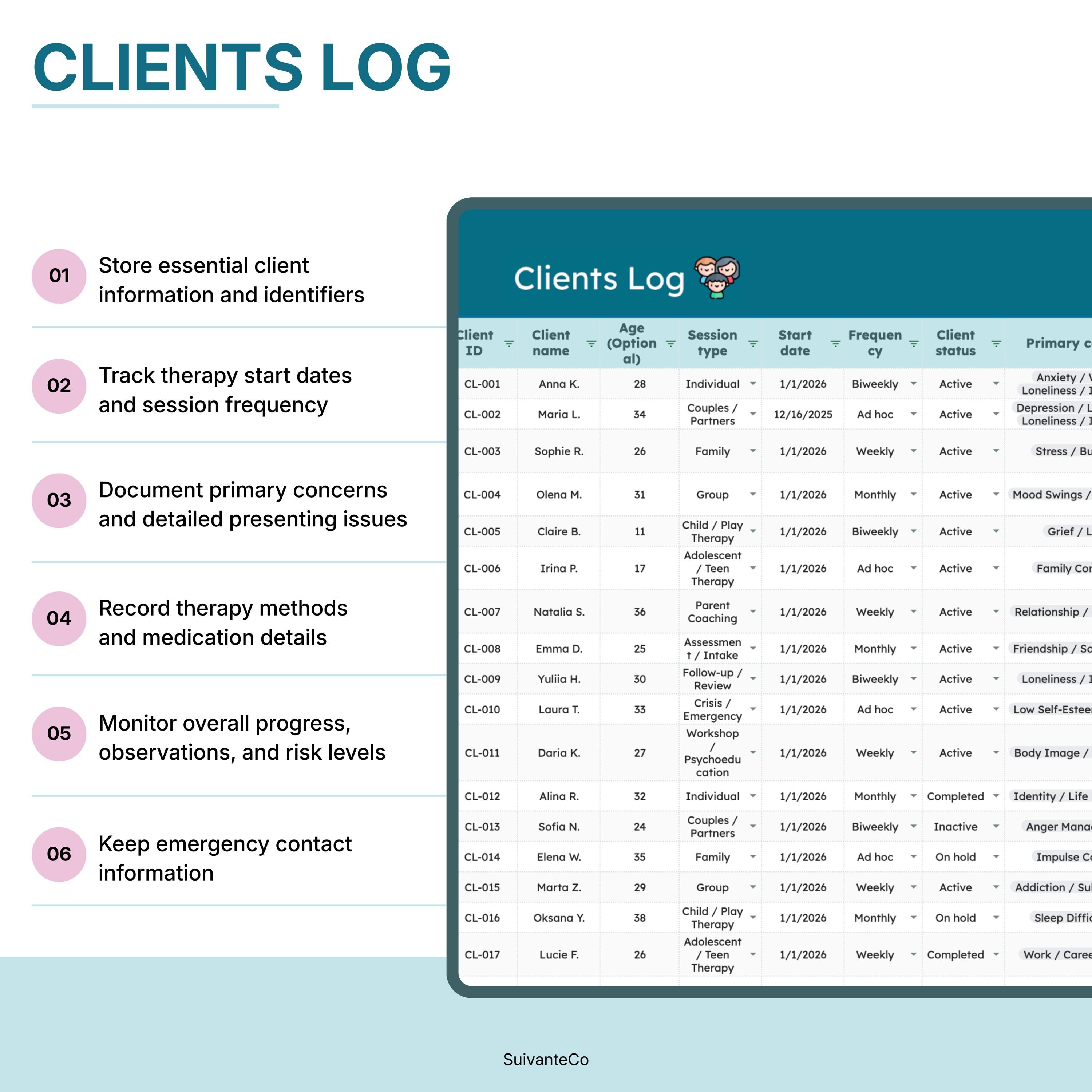 Therapist Planner Session Notes for Google Sheets | Client Tracker ...