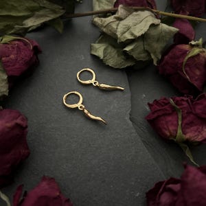 May include: A pair of gold hoop earrings with a small, gold, horn-shaped charm hanging from each hoop.