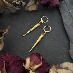 May include: A pair of gold-colored, cone-shaped earrings with lever-back closures. The earrings are displayed on a dark, textured surface, surrounded by dried rose petals and leaves. The earrings have a sleek, minimalist design.