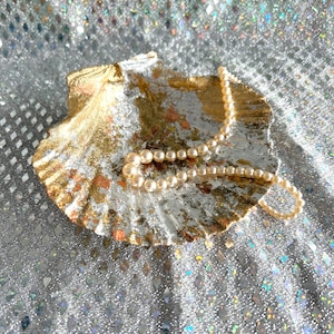 Golden Shell - decorative Seashell with real Gold / Metallic finish - Ring Dish, Ornamental Unusual Eclectic Natural Home Decor