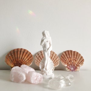 Venus Figurine - Plaster Goddess Statue, White / Pearlescent Ornament, Greek Aphrodite Model, Pretty Feminine Classical Art Home Alter Decor