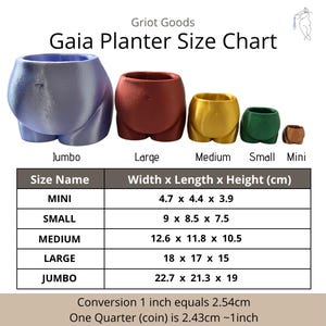 May include: A size chart for Gaia planters featuring five body-shaped pots in purple, red, gold, green, and brown. The chart displays labels for Jumbo, Large, Medium, Small, and Mini sizes with a table listing dimensions in centimetres from 4.7 to 22.7 cm.
