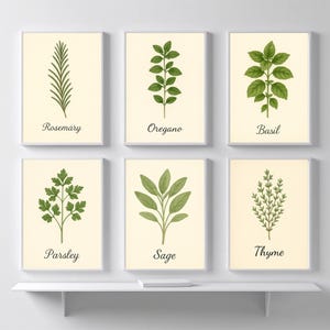 Italian Herb Poster Set | Basil, Sage, Thyme, Oregano, Parsley, Rosemary | Botanical Kitchen Wall Art | PDF Download
