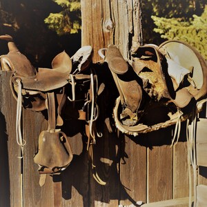 May include: Two well-worn, brown leather horse saddles hang on a weathered wooden fence. The saddles show signs of use, with visible wear and tear. The scene evokes a rustic, Western aesthetic, with sunlight casting shadows on the wood.