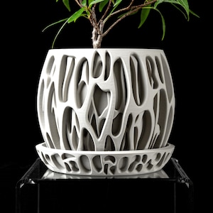 Slime Planter Pot 4 Inch Opening with Drainage Hole and Tray | Organic Cutout Plant Pot | Modern Minimal Flower Pot