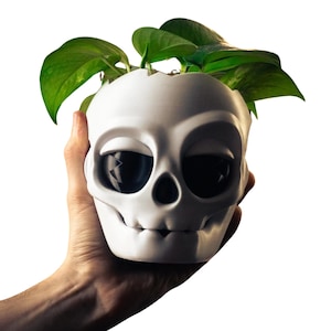 3D Printed Skull Planter Pot with Jaw Drainage Tray | Gothic Desk Decor