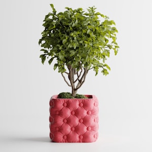 May include: A small, leafy green tree in a square, red tufted planter. The planter has a button-like design. The tree has a brown trunk and branches. The background is white.