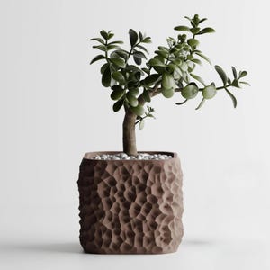 Planter TerraForma Voronoi Square 4 inch Pot Opening | Organic Rock Texture | Modern Geometric Pot