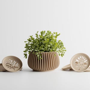 May include: A wooden, ribbed planter with a green plant inside, accompanied by several beige saucers with decorative cut-out designs. The planter and saucers are set against a white background.