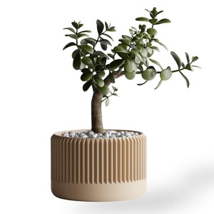 Planter Pot Rib Delta Low Cylinder | Modern Vertical Ribs, PLA (4 inch Opening)