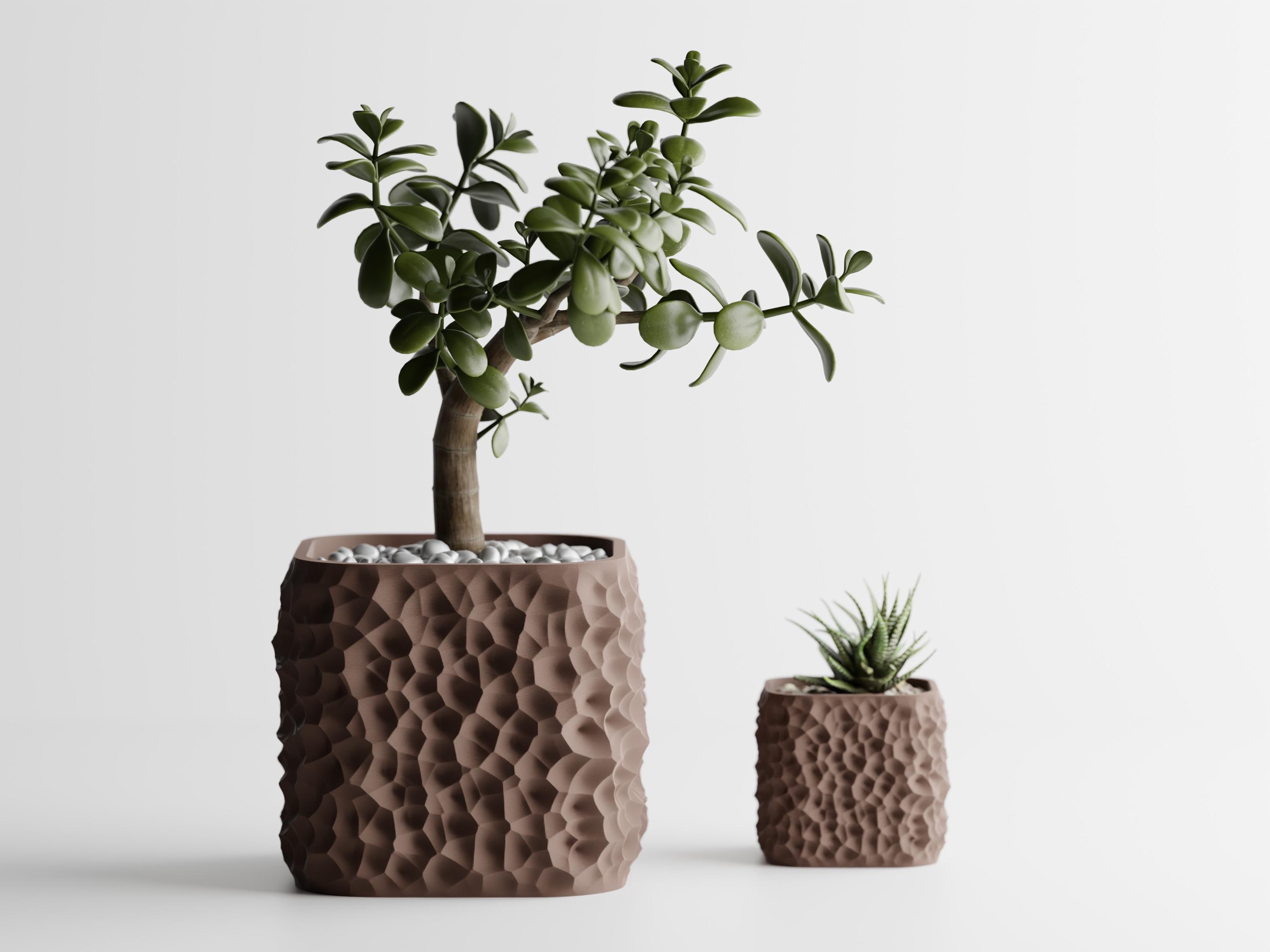 succulent pots near me Gift Small Ceramic Succulent Pot With Drainage and Bamboo Tray- With Cactus or Succulent 2