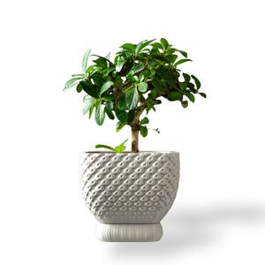 Connect Planter Pot | linked geometric silhouette | 4.9 Inch 3D Printed Planter with Drainage Tray