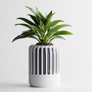 May include: A modern white planter with vertical ribbed design, holding a vibrant green plant. The plant has large, glossy leaves. The planter is a cylindrical shape, with a solid base and a contrasting dark interior.