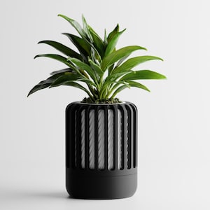 May include: A modern black planter with a cylindrical design, featuring vertical slats. The planter holds a vibrant green plant with broad leaves. The pot has a white interior and sits on a solid base, creating a contemporary aesthetic.