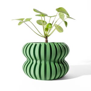 May include: A light green plant pot with a distinct ribbed, hourglass-shaped exterior featuring vertical ridges. A small green plant with round, flat leaves is planted inside the container, which has a matte finish and a wide, open top.