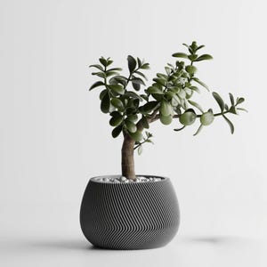 Low Bowl Swirl Rib Planter | Modern Minimalist 3D Printed Pot (4 inch opening)