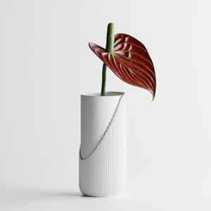 May include: A modern white vase with a unique design, holding a single anthurium flower. The flower has a deep red, heart-shaped leaf and a green stem. The vase has a textured, vertical-lined pattern on the lower half.